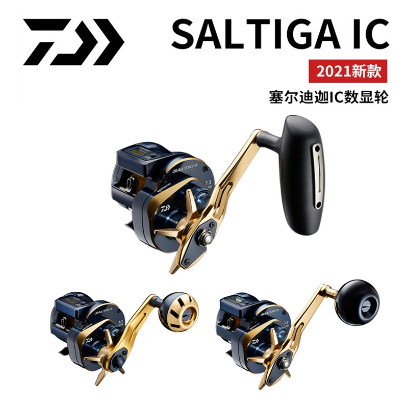 21 Japanese DAIWA Daiwa SALTIG - đánh giá và giá Electric Fishing Reel